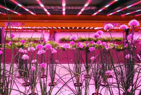 Agri IoT