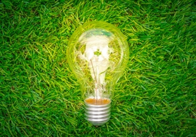 eco-concept-light-bulb-grow-grass